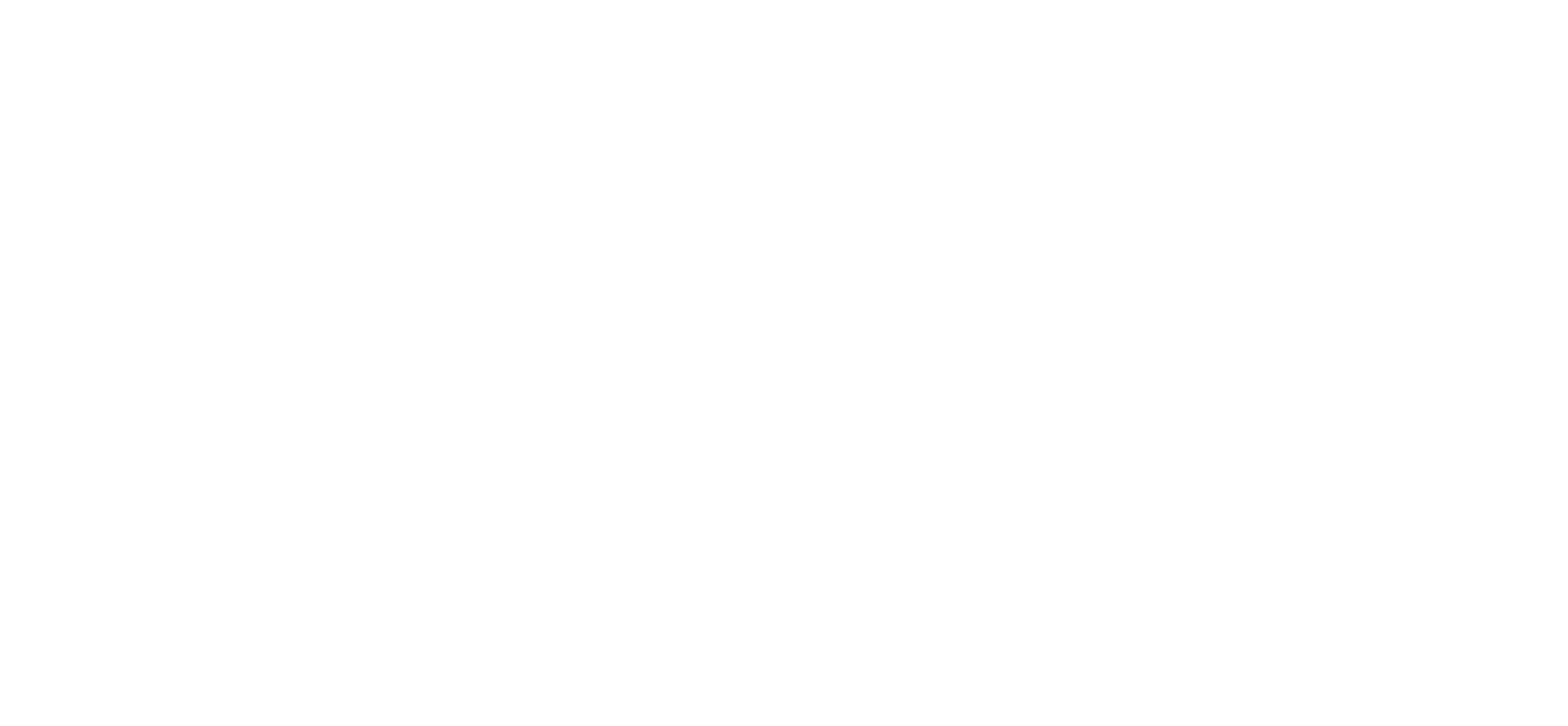 FANNI Logo